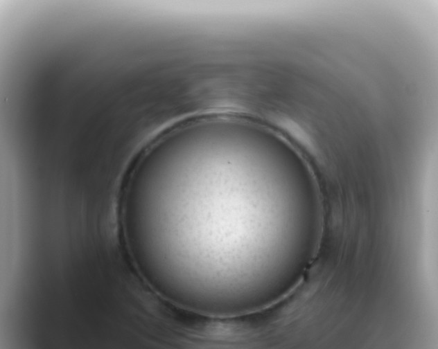 X0000089861364200707051126