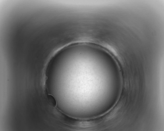 X0000089861366200707051126