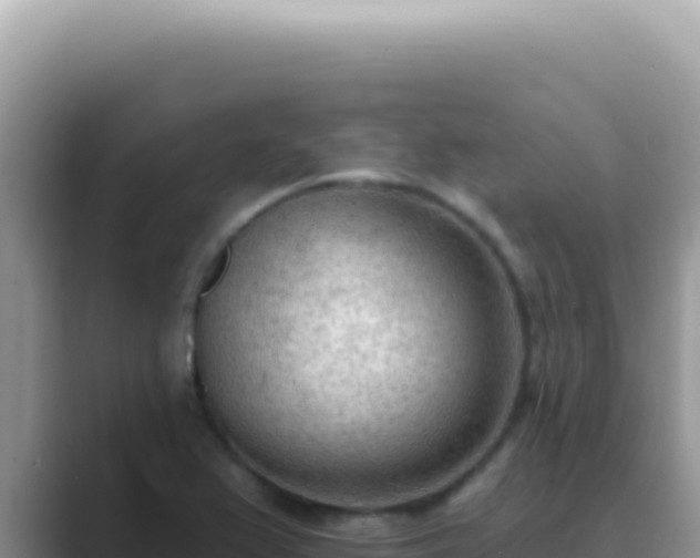 X0000089861367200707051126