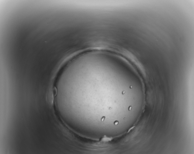 X0000089861368200707051126