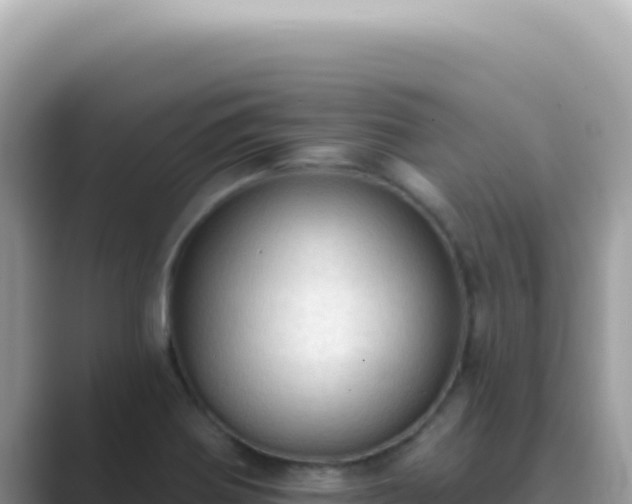 X0000089861370200707051125