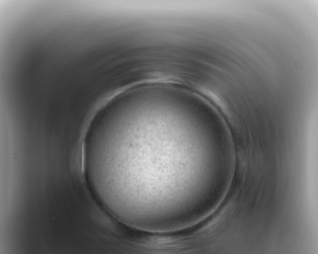 X0000089861371200707051125