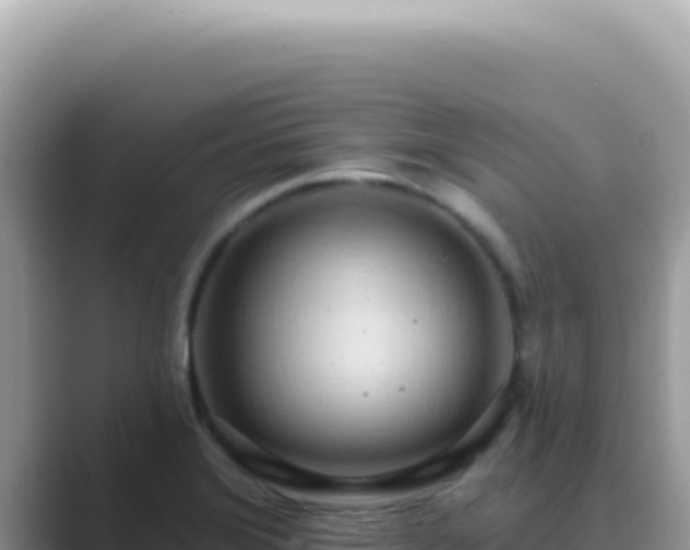 X0000089861372200707051125