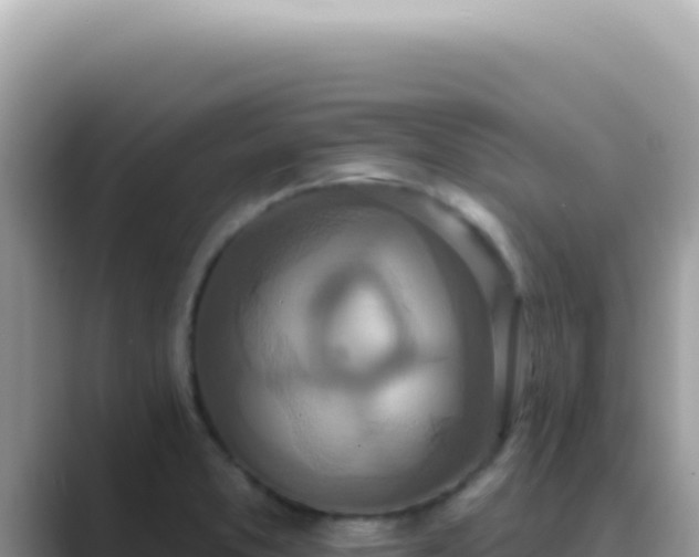 X0000089861373200707051125