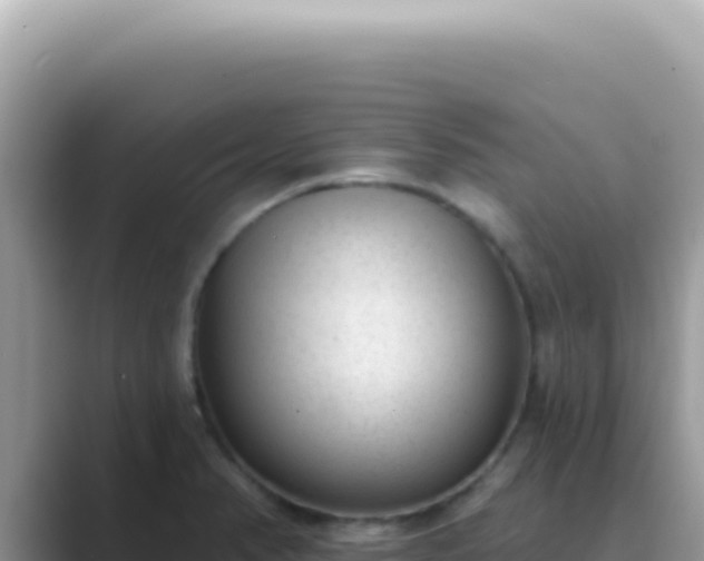 X0000089861374200707051125