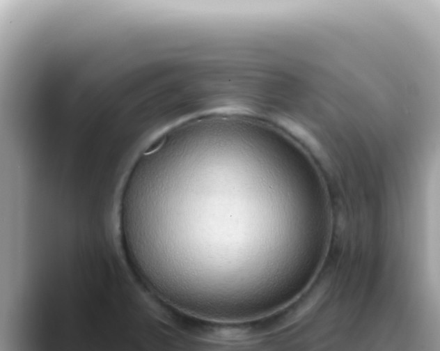 X0000089861375200707051125