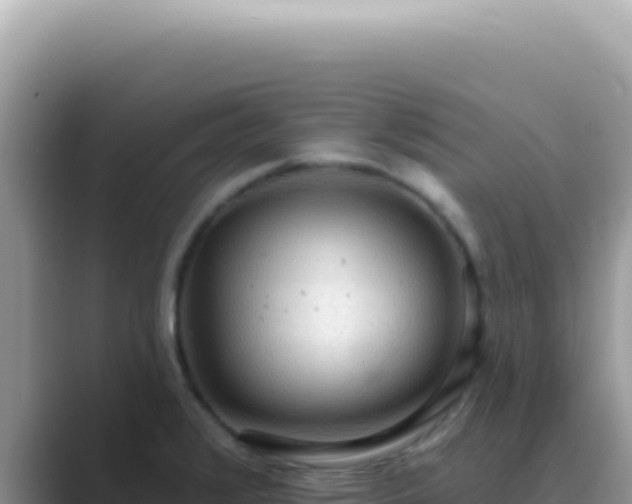 X0000089861376200707051125