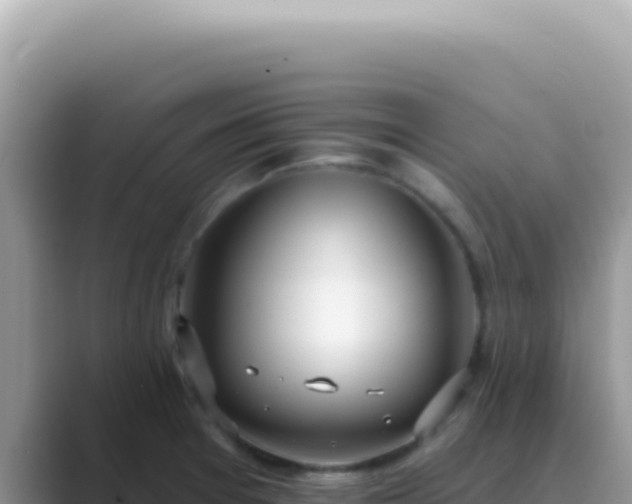 X0000089861377200707051125