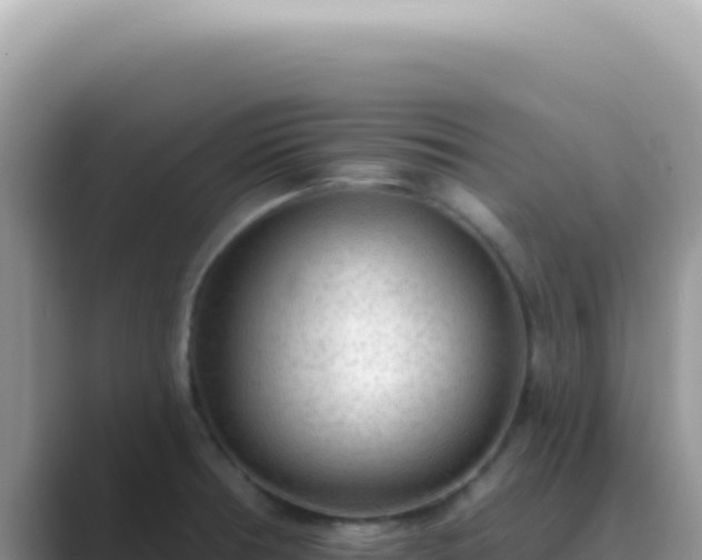 X0000089861378200707051125