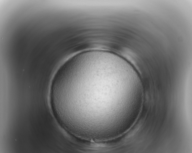 X0000089861379200707051125