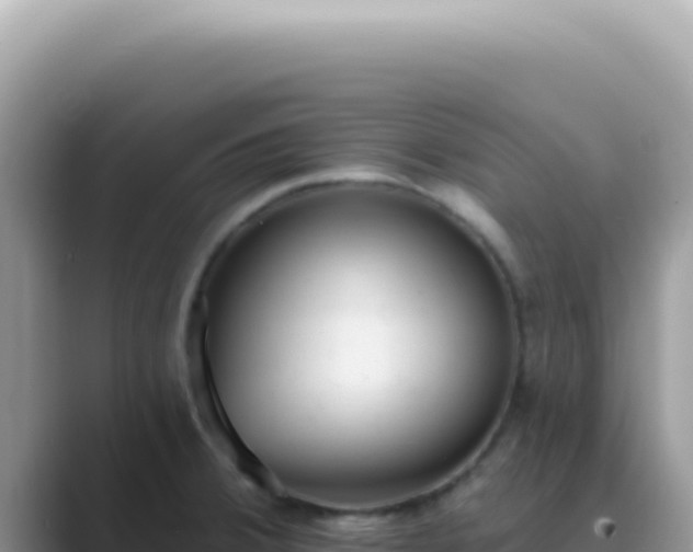 X0000089861380200707051125