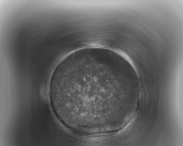 X0000089861381200707051125
