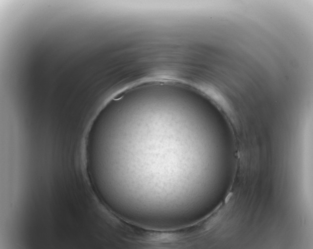 X0000089861382200707051125