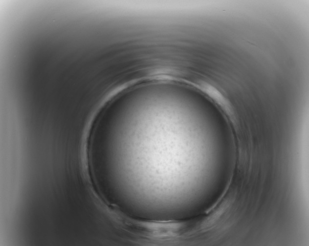X0000089861384200707051125