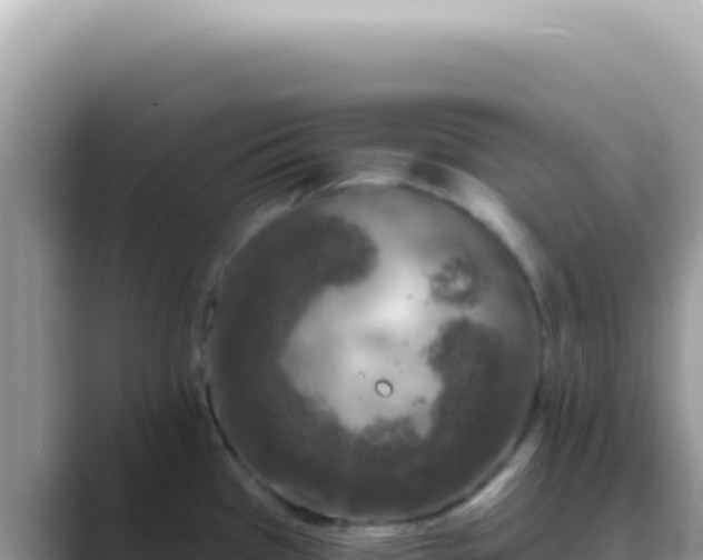 X0000089861385200707051125