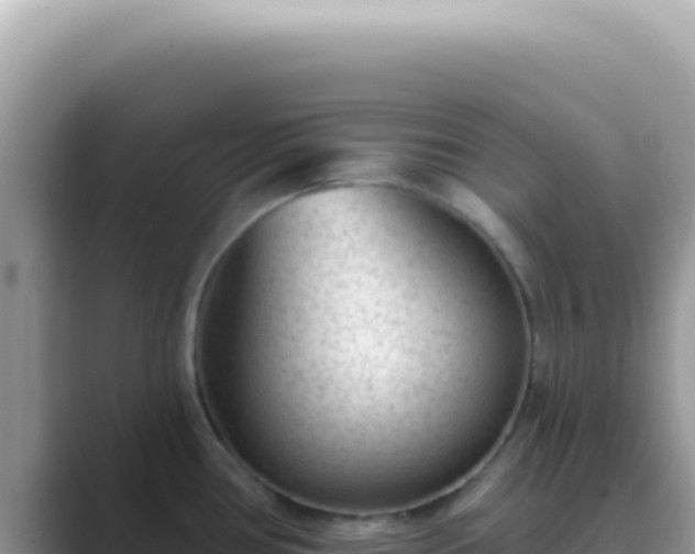 X0000089861386200707051125