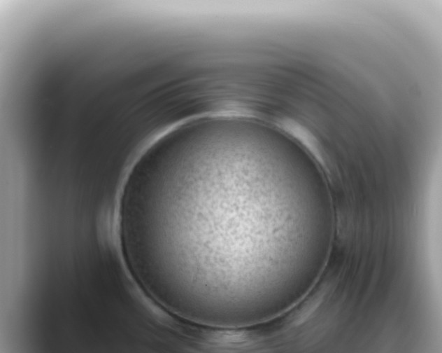 X0000089861387200707051125