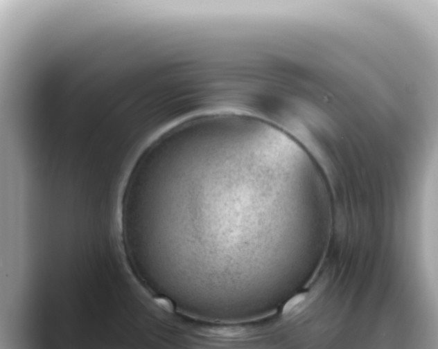 X0000089861388200707051125