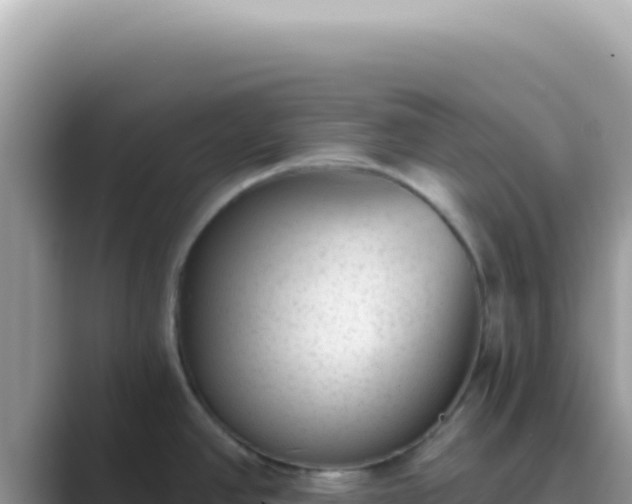 X0000089861390200707051125