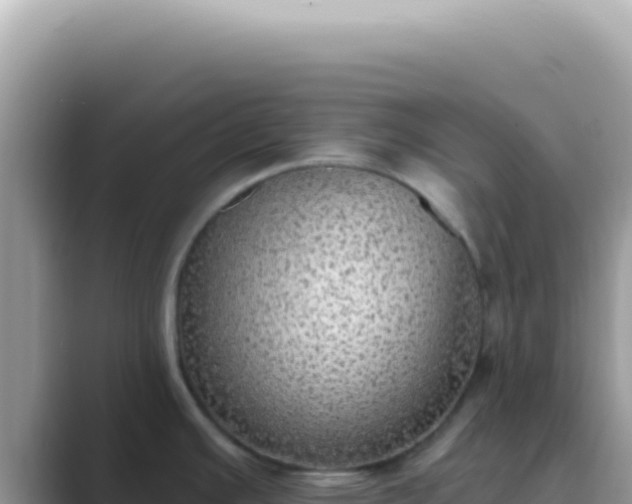 X0000089861391200707051125