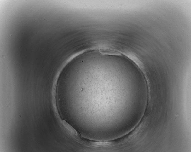 X0000089861392200707051125