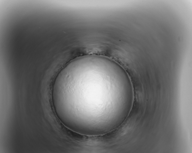 X0000089861393200707051125