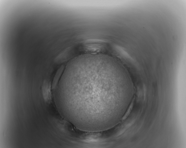 X0000089861394200707051125