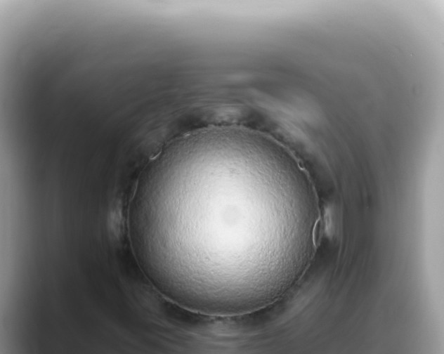 X0000089861395200707051125