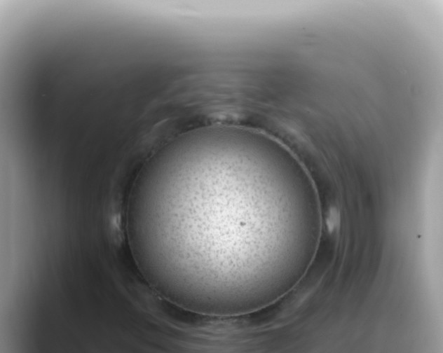 X0000089861396200707051125