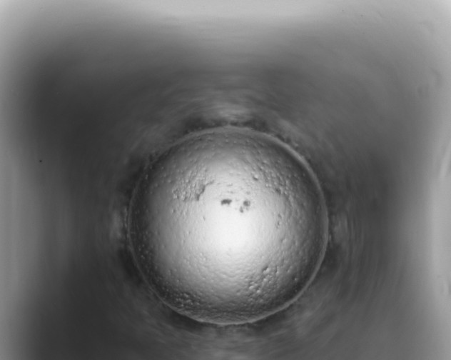 X0000089861397200707051125