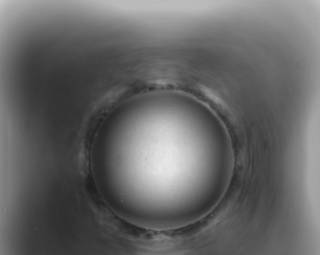 X0000089861398200707051125