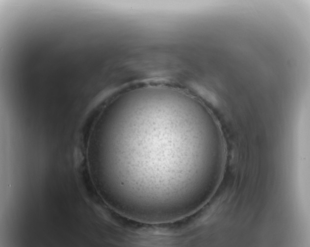 X0000089861400200707051125