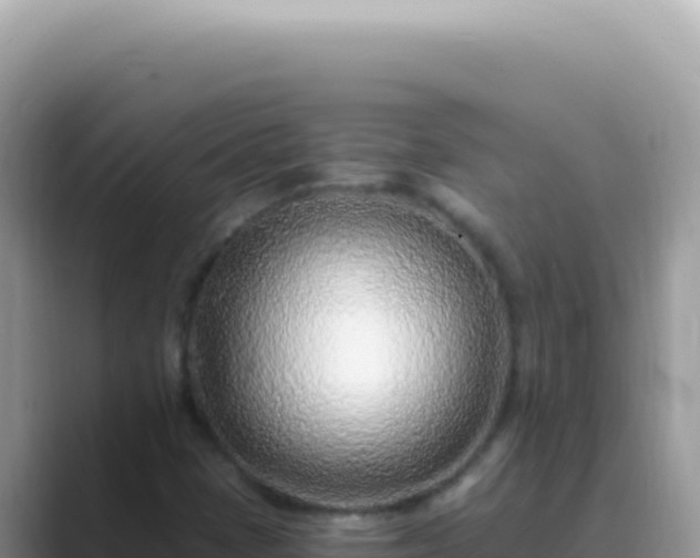 X0000089861401200707051125