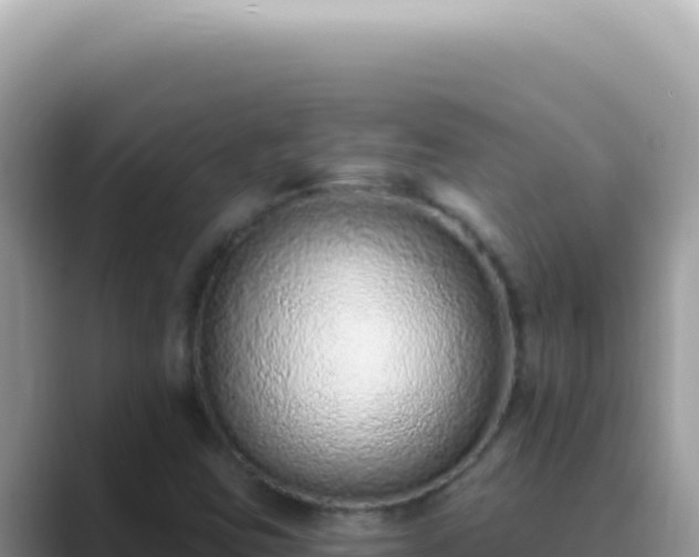 X0000089861403200707051125