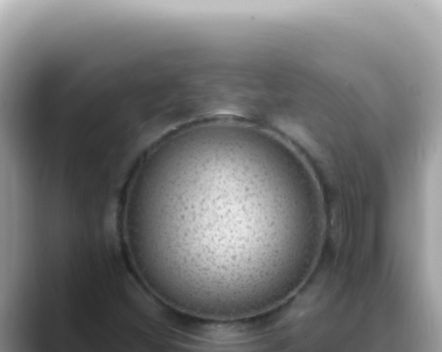 X0000089861404200707051125