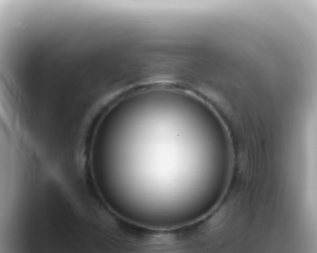 X0000089861406200707051125