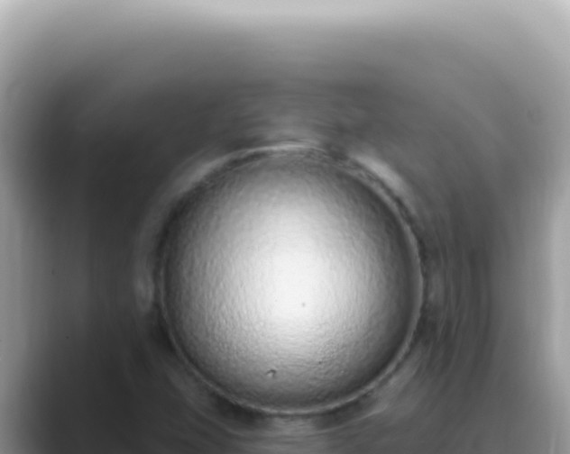 X0000089861407200707051125