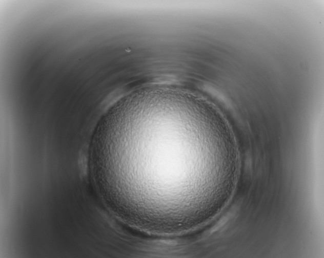 X0000089861409200707051125