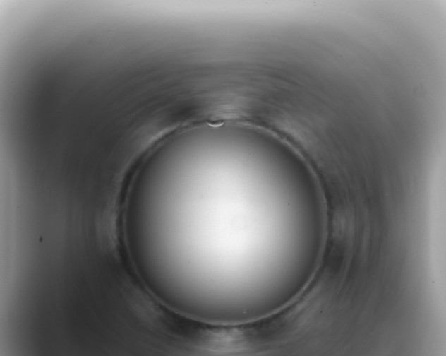 X0000089861410200707051125