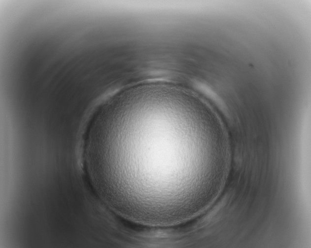 X0000089861411200707051125