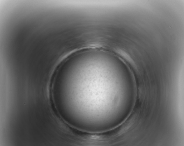 X0000089861412200707051125