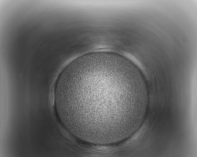 X0000089861413200707051125
