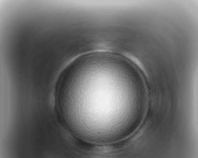 X0000089861415200707051125
