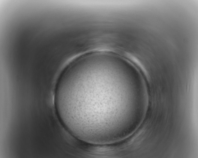 X0000089861416200707051125