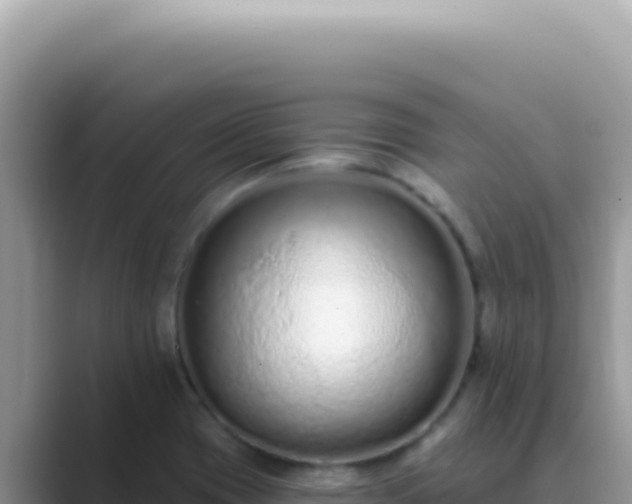 X0000089861417200707051125