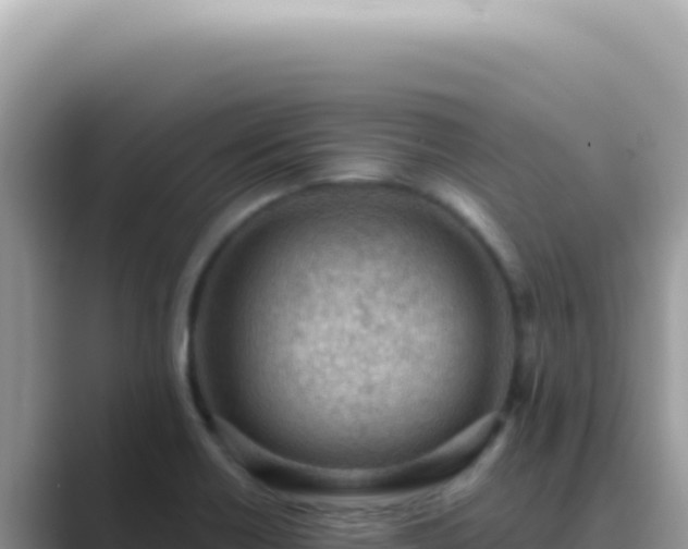 X0000089861418200707051125