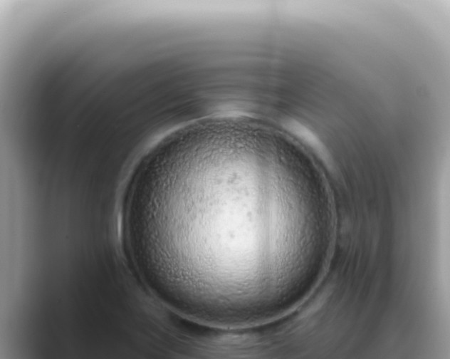 X0000089861419200707051125
