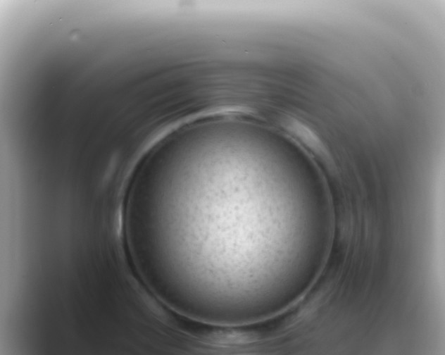 X0000089861420200707051125