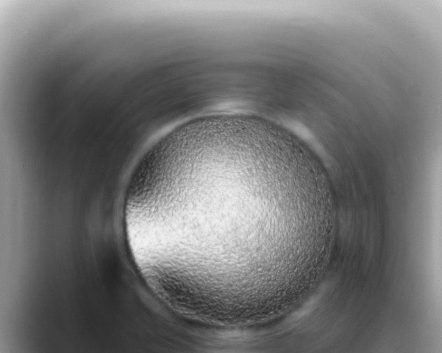 X0000089861421200707051125