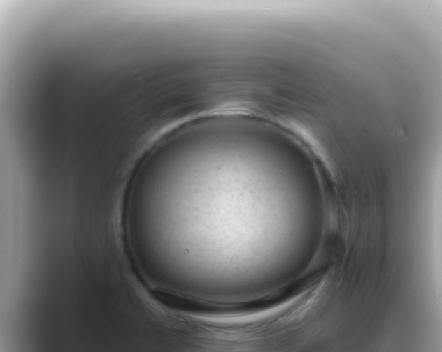 X0000089861422200707051125